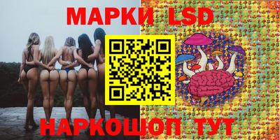 ГАЛЛЮЦИНОГЕННЫЕ ГРИБЫ Кингисепп