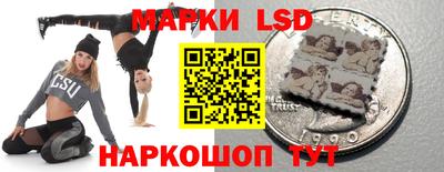 ГАЛЛЮЦИНОГЕННЫЕ ГРИБЫ Кингисепп