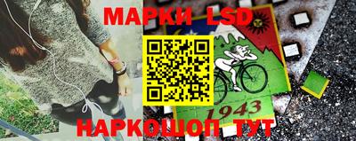 ГАЛЛЮЦИНОГЕННЫЕ ГРИБЫ Кингисепп