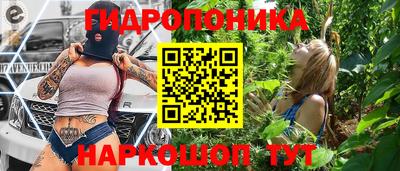 ГАЛЛЮЦИНОГЕННЫЕ ГРИБЫ Кингисепп